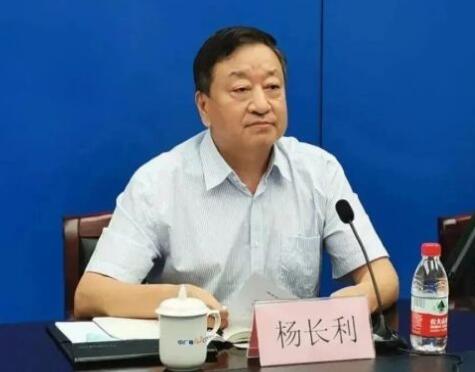 任職總經(jīng)理半年后，楊長利任中廣核董事長