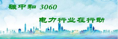 電網(wǎng)企業(yè)參與碳市場發(fā)展 助力能源低碳轉(zhuǎn)型