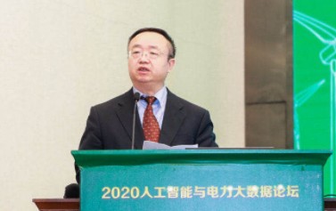 國(guó)家電網(wǎng)有限公司大數(shù)據(jù)中心主任、黨委副書記 王繼業(yè)：激活電力大數(shù)據(jù)價(jià)值 落實(shí)公司碳達(dá)峰碳中和行動(dòng)方案