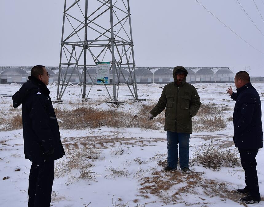 二連浩特供電公司：開展客戶側(cè)安全檢查，確?？诎犊蛻粝楹兔髁吝^春節(jié)