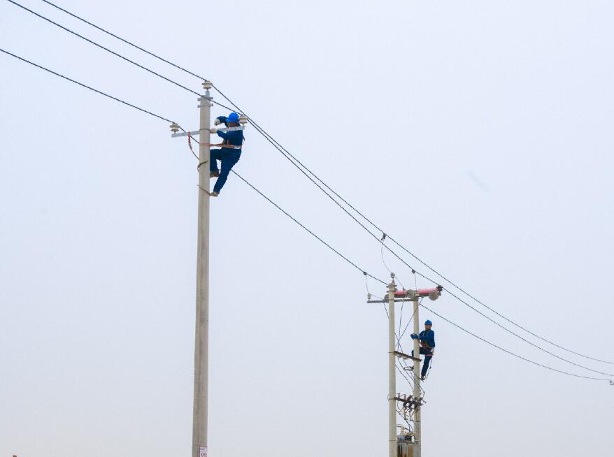阿拉善供電公司：電網(wǎng)健康“體檢”，從登桿開始