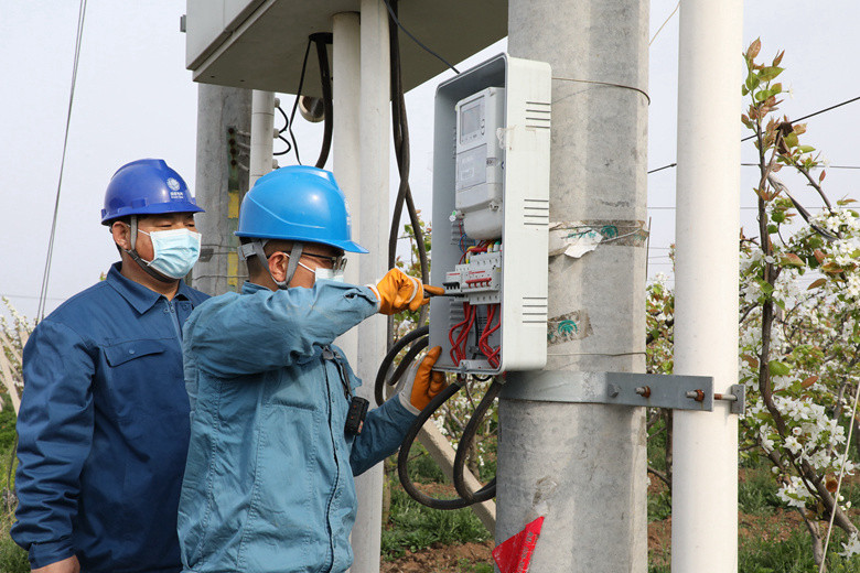 國(guó)網(wǎng)諸城市供電公司電力足，千畝梨園花正濃