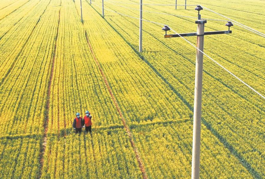 建立服務臺賬，精準了解村民用電需求