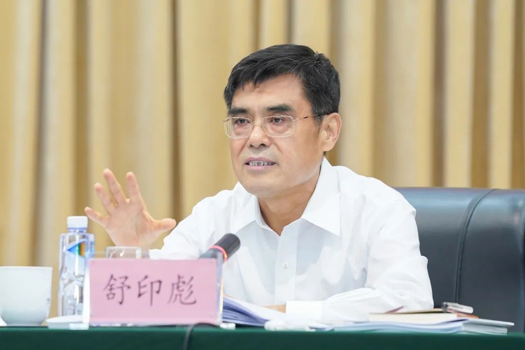 舒印彪：發(fā)展新型電力系統(tǒng)，助力“雙碳”目標