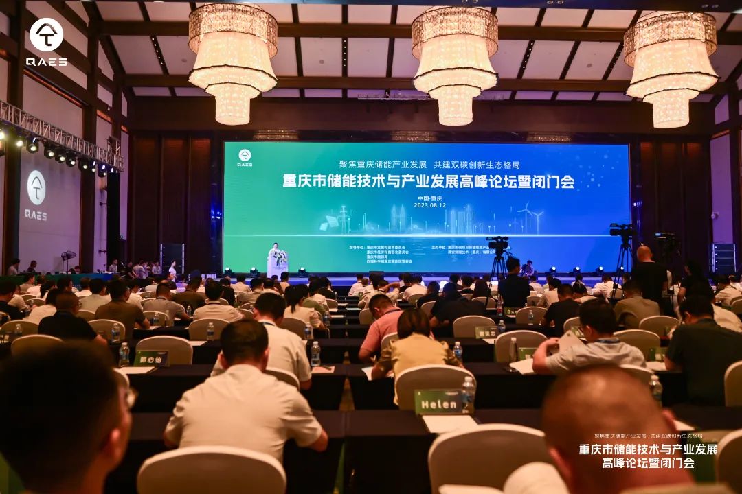 重慶首個儲能技術與產(chǎn)業(yè)發(fā)展白皮書在西部(重慶)科學城發(fā)布