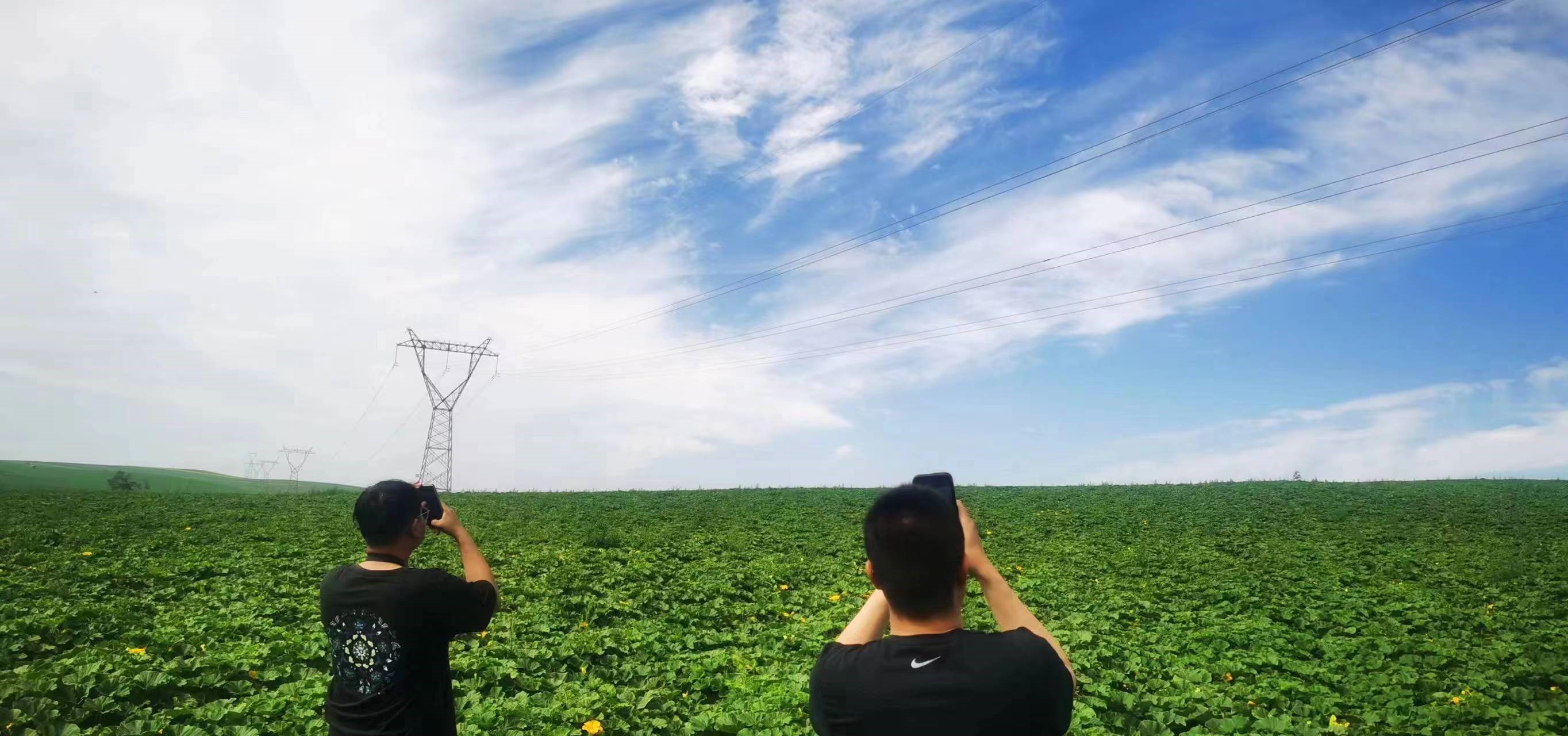 四子王輸變電管理處：防外力破壞，助安全運行