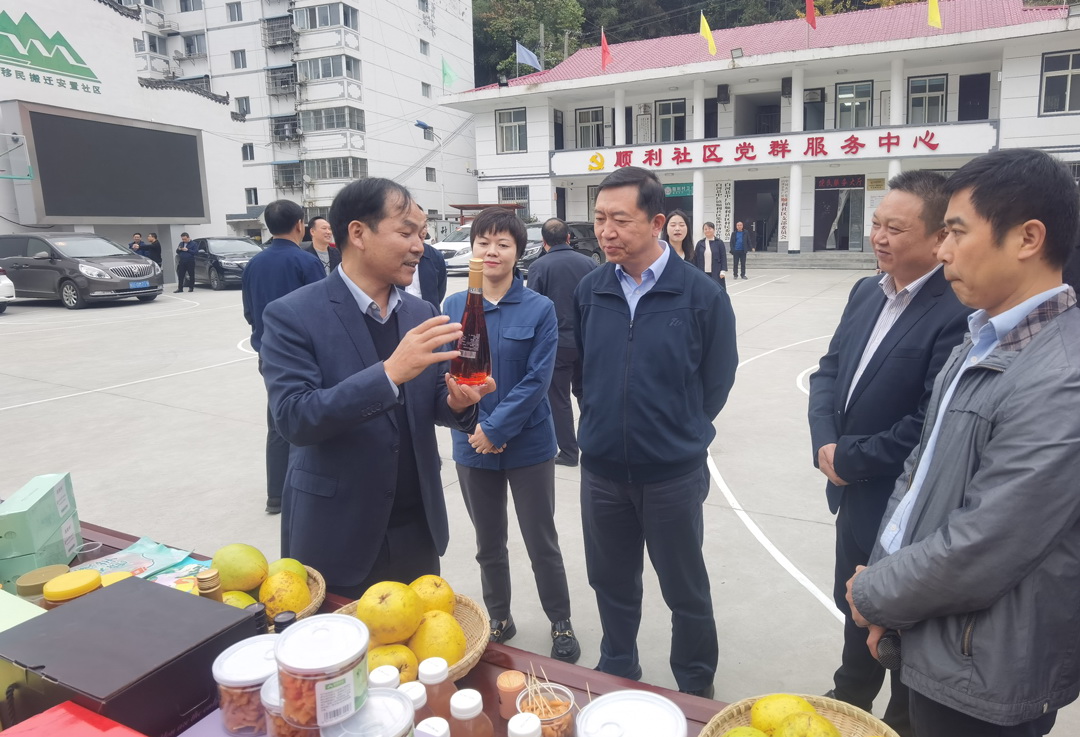 中核集團(tuán)總經(jīng)理、黨組副書記顧軍赴陜西白河、旬陽(yáng)調(diào)研鄉(xiāng)村振興工作