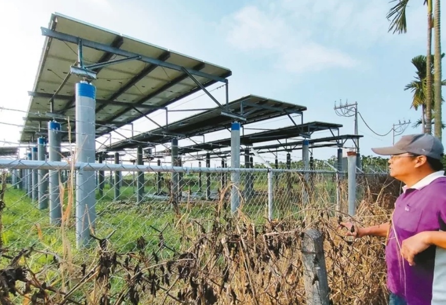 臺(tái)媒：農(nóng)田“種電”讓農(nóng)民苦不堪言，島內(nèi)面臨農(nóng)電兩失困境