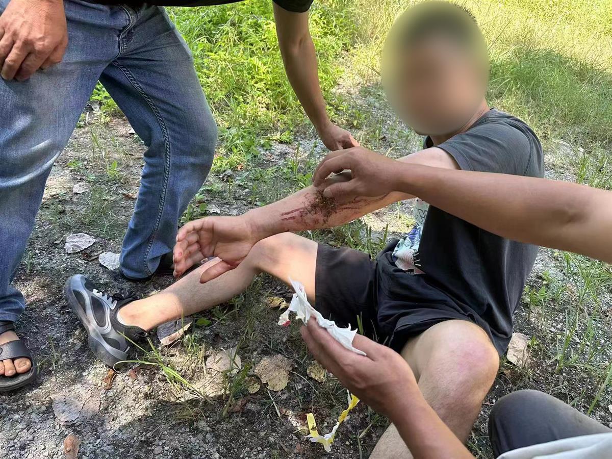 男子私設(shè)電網(wǎng)30余米，沒捕獲獵物卻電傷路人被刑拘