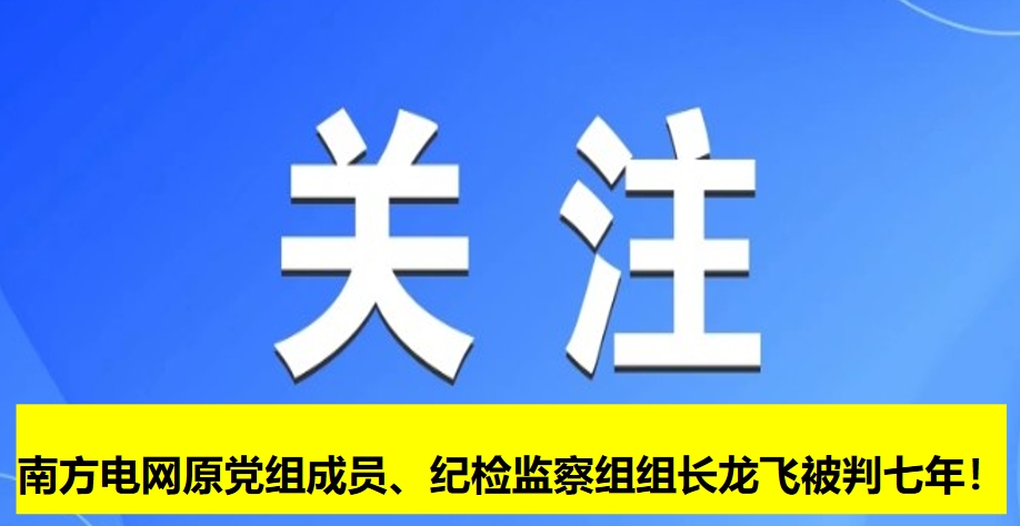 南方電網(wǎng)原黨組成員、紀(jì)檢監(jiān)察組組長龍飛被判七年！