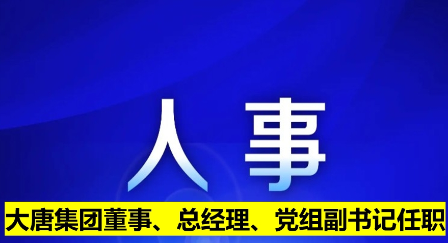 大唐集團董事、總經(jīng)理、黨組副書記任職
