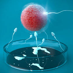 海外第三代試管嬰兒多少錢(qián)